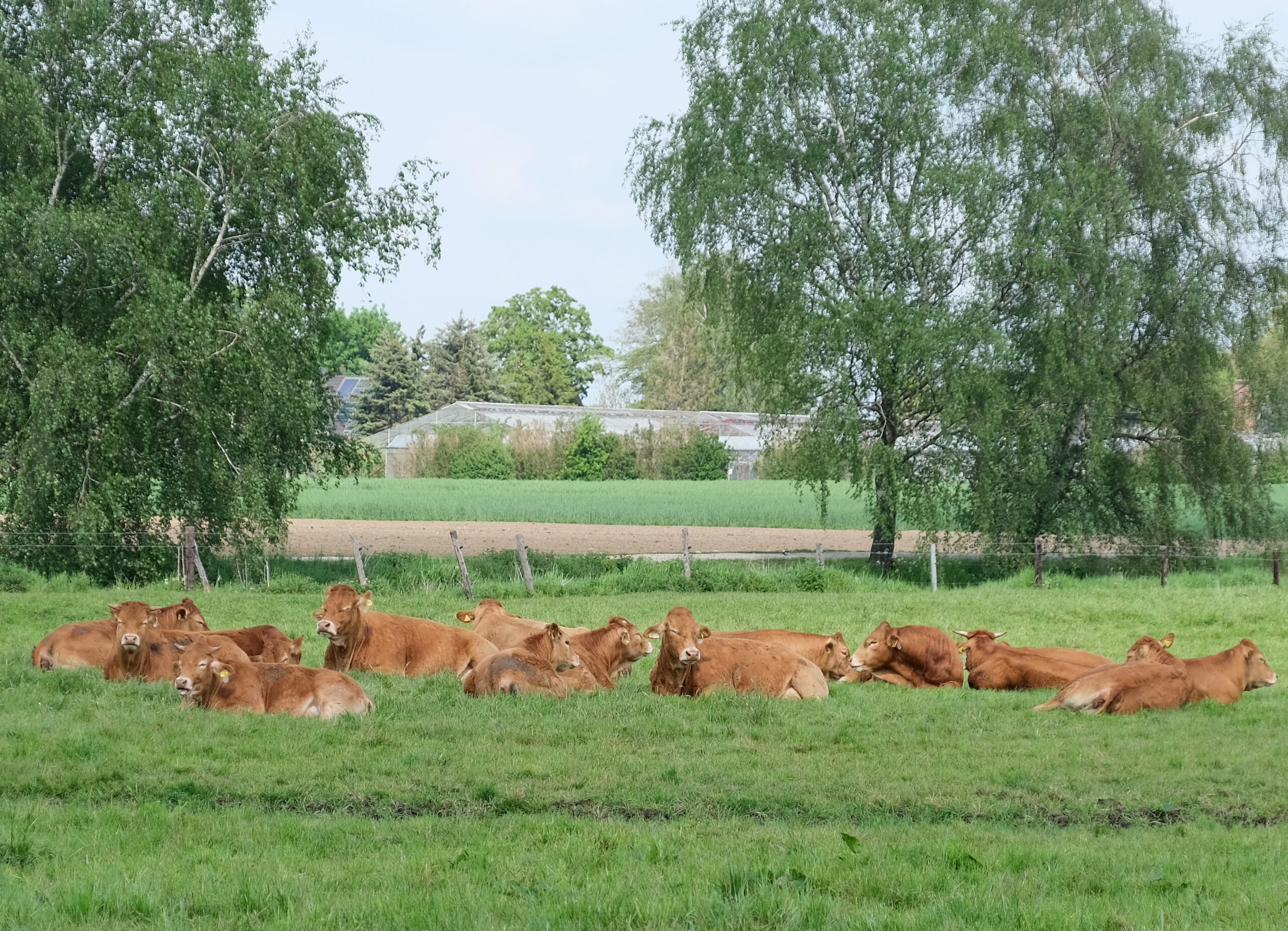 Kaatzhof Wachtendonk Mittagspause