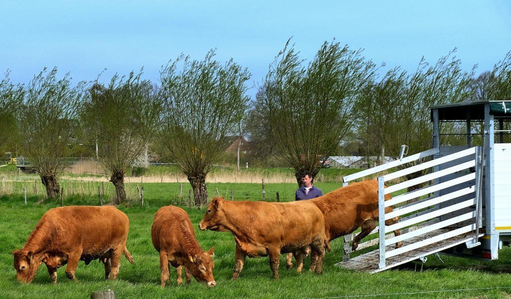 Kaatzhof Weide Strucks